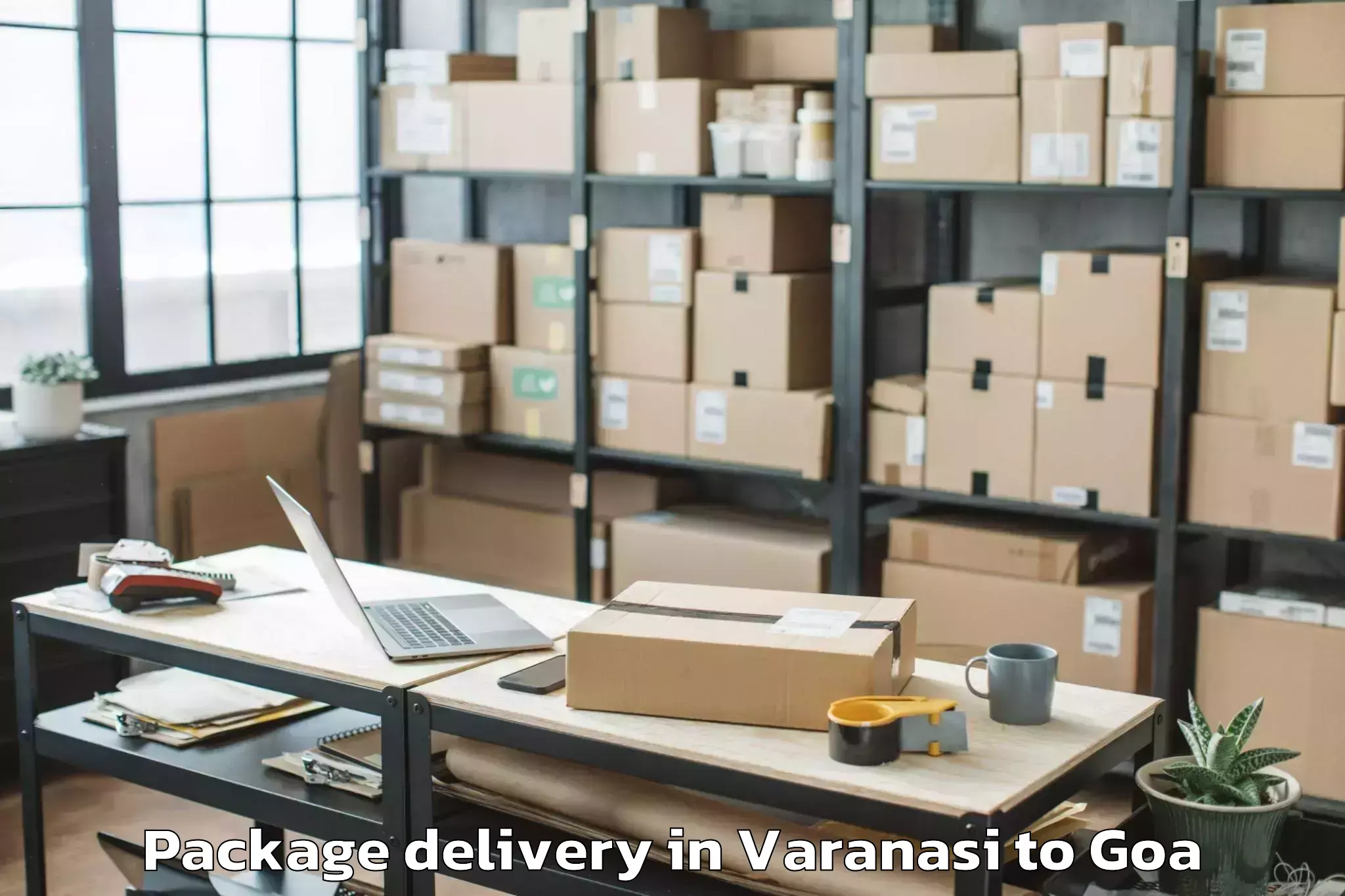 Professional Varanasi to Sanguem Package Delivery